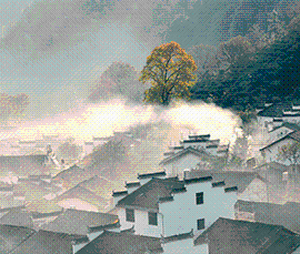 黄山市政务新媒体集约化云平台